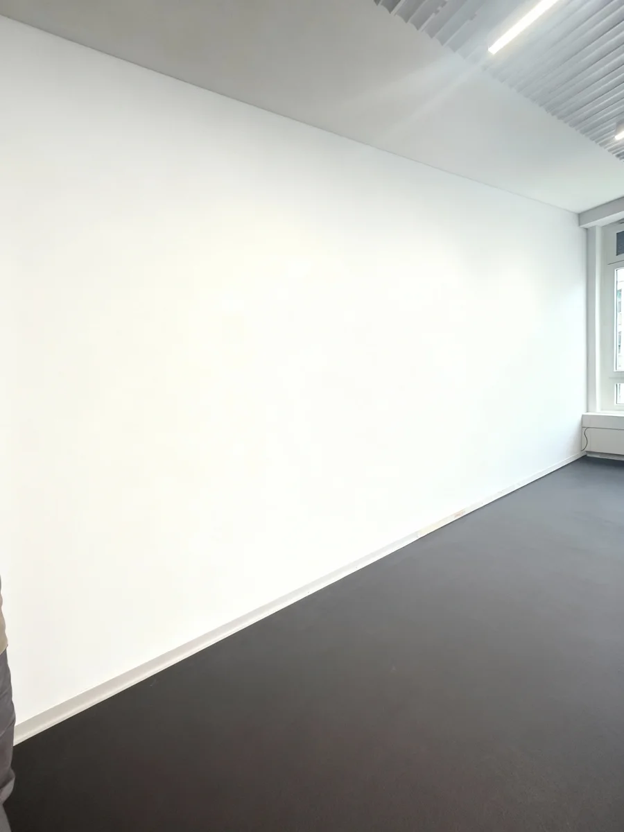 Akustik-Wandverkleidung - 2