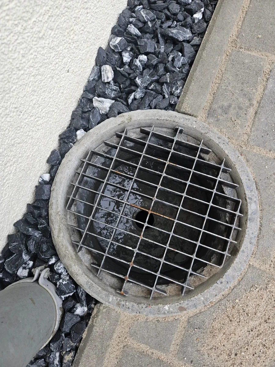 Fassade trocken gelegt - 2